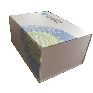 PG22 - Vaccine Paper Box 