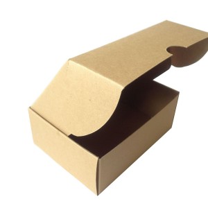 PG01 - Kraft Paper Box 